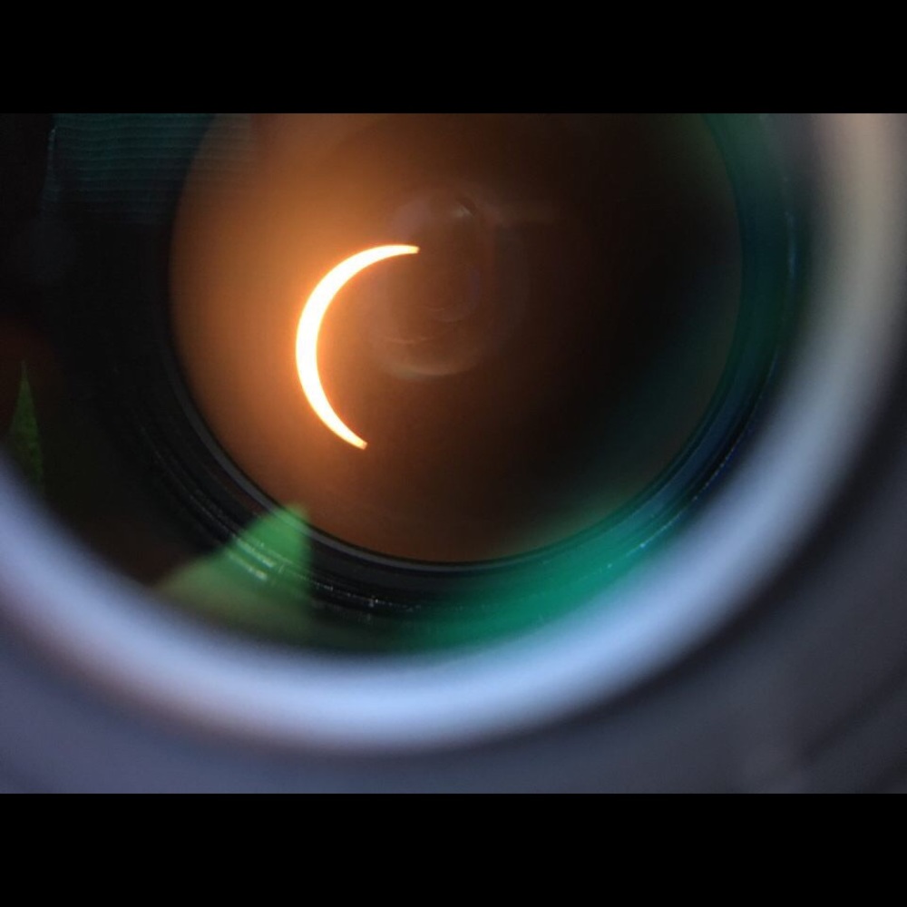 Meet your Posher, Sam